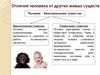 Отличие человека от других живых существ