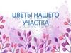 Цветы нашего участка