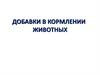 Кормовые добавки животных