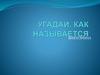 Угадай, как называется. Викторина