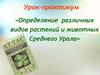 Определение различных видов растений и животных Среднего Урала