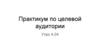 Практикум по целевой аудитории