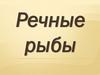 Речные рыбы