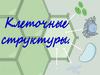 Строение клетки и клеточные структуры