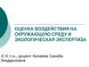 Оценка воздействия на окружающую среду и экологическая экспертиза
