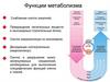 Функции метаболизма