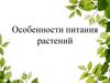 Питание растений