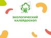 Экологический калейдоскоп (для дошкольников)