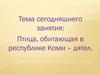 Птица, обитающая в республике Коми – дятел