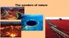 Wonders of nature