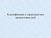 Классификация и характеристика промысловых рыб