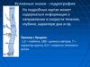 Гидрография. Условные знаки. Системы условных знаков. Определение своего положения на местности
