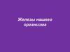 Железы нашего организма