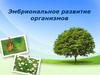 Эмбриональное развитие организмов