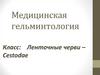Медицинская гельминтология. Ленточные черви – Cestodae