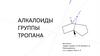 Алкалоиды. Группы тропана