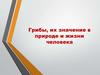 Грибы, их значение в природе и жизни человека