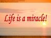 Life is a mirace