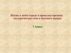 Жизнь в моём городе в прошлые времена (историческая тема в бытовом жанре)