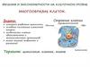 Явления и закономерности на клеточном уровне. Многообразие клеток