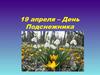 19 апреля – День Подснежника