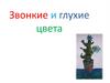 Звонкие и глухие цвета