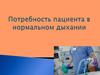 Обеспечение организма кислородом. Выведение углекислого газа и воды