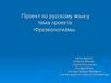 Фразеологизмы. Что такое фразеологизм?