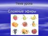 Сложные эфиры. 10 кл
