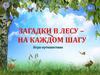 Загадки в лесу – на каждом шагу. 100 лет со дня рождения Николая Ивановича Сладкова
