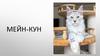 Мейн-кун
