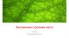 Внутреннее строение листа. 6 класс