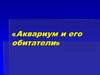 «Аквариум и его обитатели»