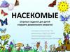 Насекомые (игровые задания для детей старшего дошкольного возраста)