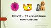 COVID–19 и животные компаньоны