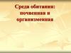 Среда обитания: почвенная и организменная