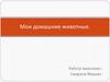 Мои домашние животные