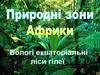 Вологі екваторіальні ліси Африки