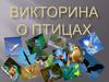 Викторина о птицах