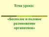 Половое и бесполое размножение организмов