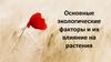 Основные экологические факторы и их влияние на растения
