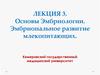 Эмбриональное развитие млекопитающих. Лекция 3
