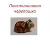 Пластилиновая черепашка