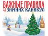 Безопасность на зимних каникулах