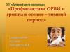 «Профилактика ОРВИ и гриппа в осенне – зимний период»