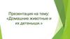 Домашние животные и их детеныши