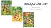 Правда или нет? Сюжетные картинки