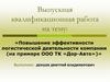 Повышение эффективности логистической деятельности компании (на примере ООО ТК «Дор-Авто»)