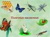 Полезные насекомые
