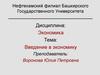 Введение в экономику